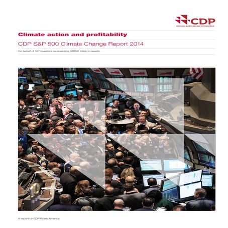 #CDP Climate Action and Profitability