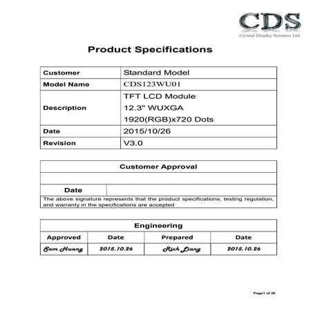12.3 inch Automotive TFT the CDS123WU01