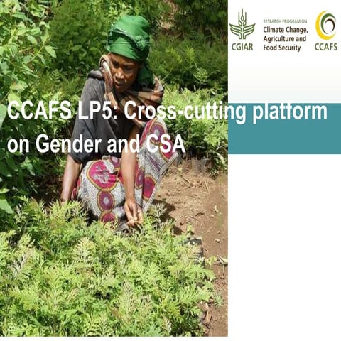 Climate Change Agriculture and Food Security Learning Platform 5: cross-cutti...