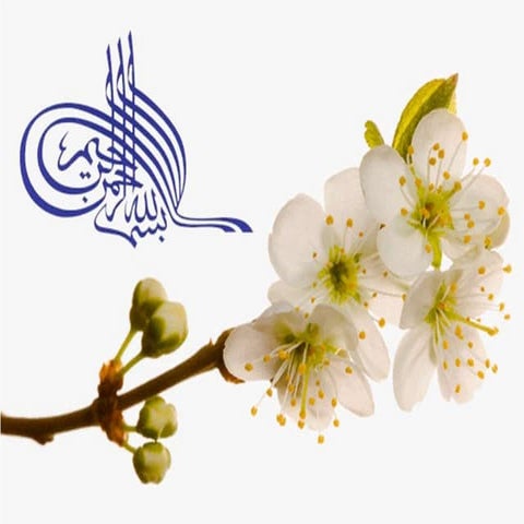 Runoff and Hydrograph