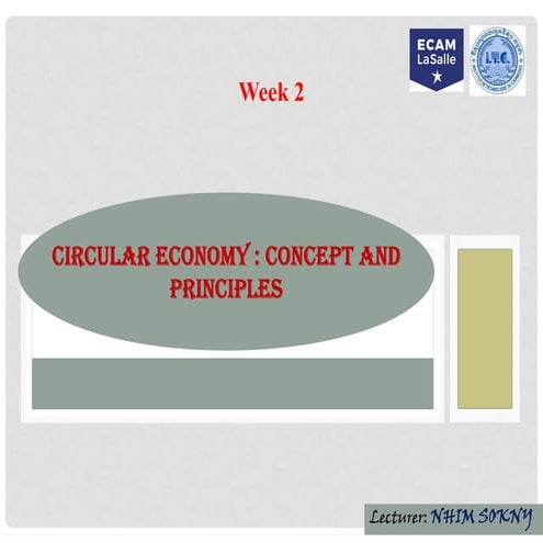 Comprehensive Principles and Strategies of Circular Economy | PDF