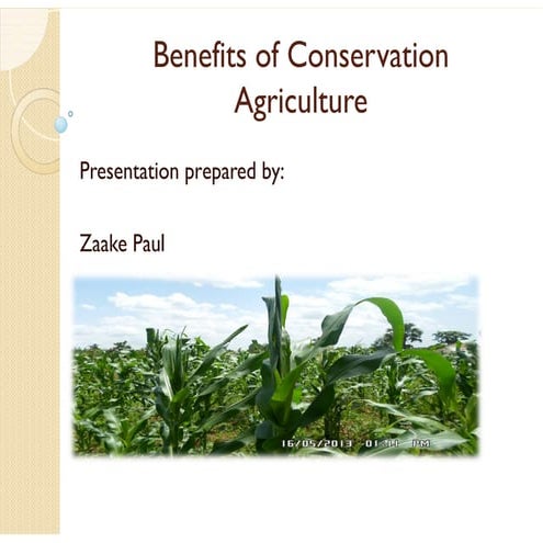 Benefits of Conservation Agriculture presentation for Conference on Climate C...