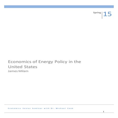 Economics of Energy Policy Final Submission