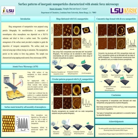 Surface patterns of inorganic nanoparticles characterized with atomic ...