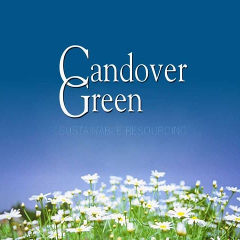 CG - Presentation - Candidate