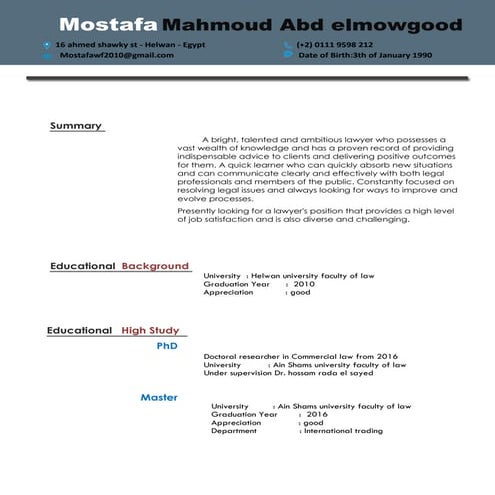 Curriculum Vitae -Mahmoud Amer | PDF