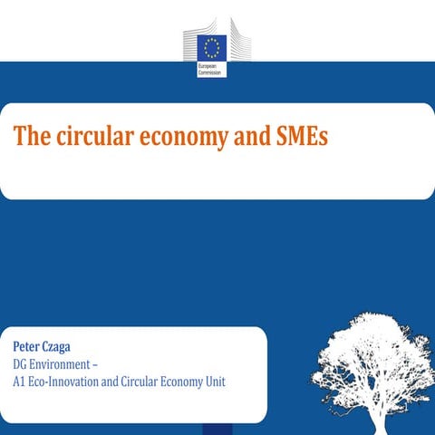 The Circular Economy and SMEs - Peter Czaga, Policy Officer, European Commission, DG Environment