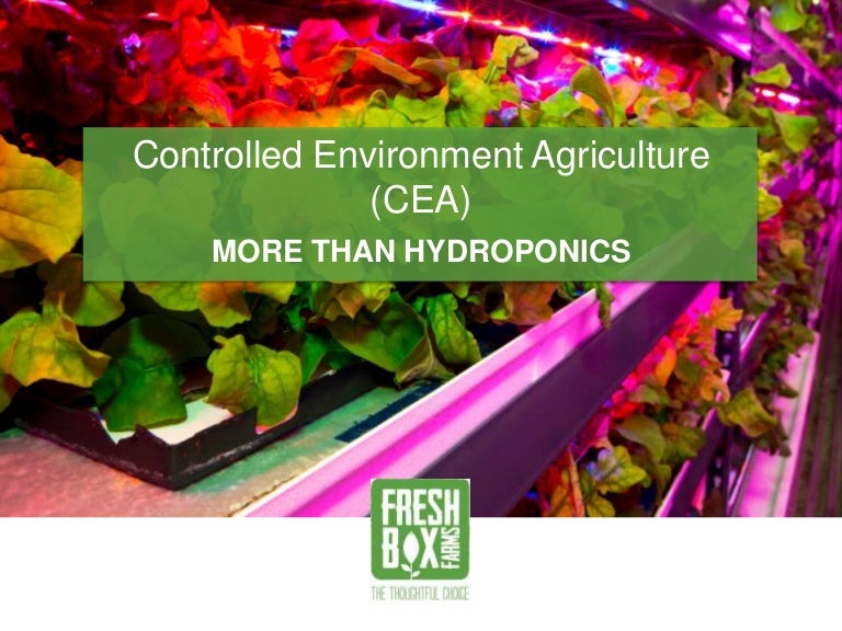 Controlled Environment Agriculture (CEA) More than Hydroponics