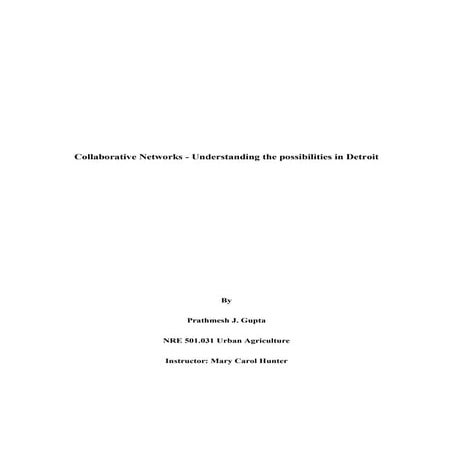 Collaborative Networks Understanding the possibilities for Detroit