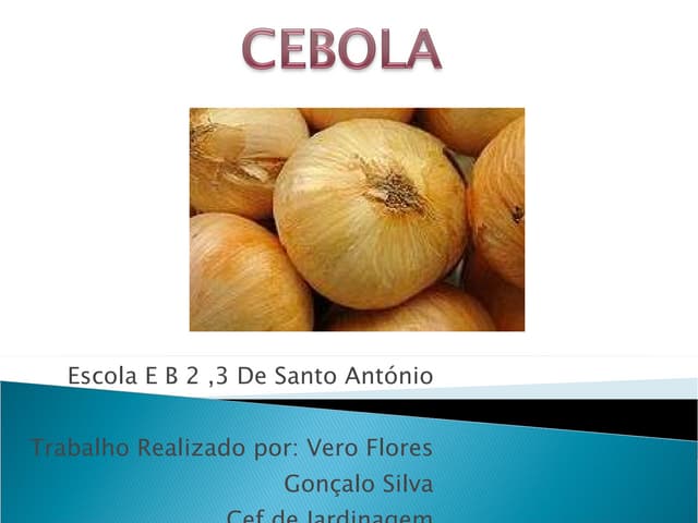 Cebola
