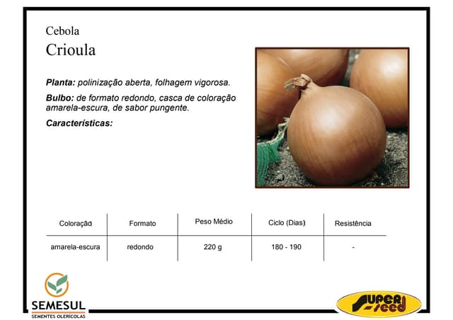Cebola Crioula