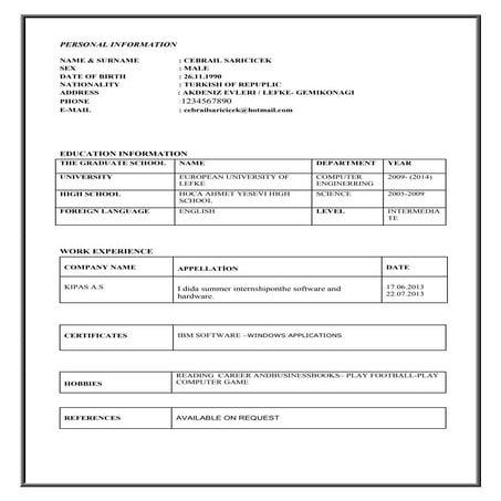 CEBRAIL SARICICEK - CV | DOCX