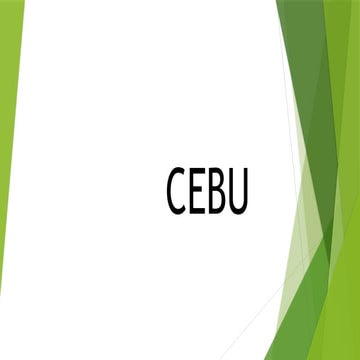 12324546576576878789798987090890909cebu Pptx
