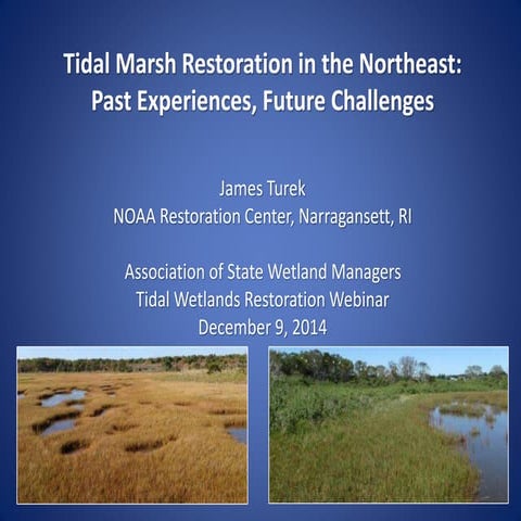 TUREK SALT MARSH RESTORATION FINAL 12 09 14