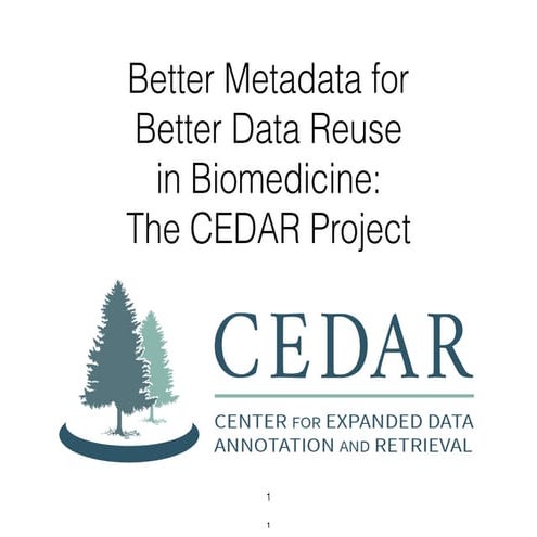 Cedar Overview