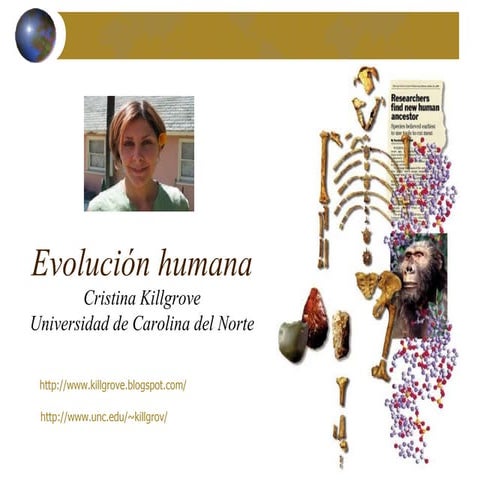 Evolución humana