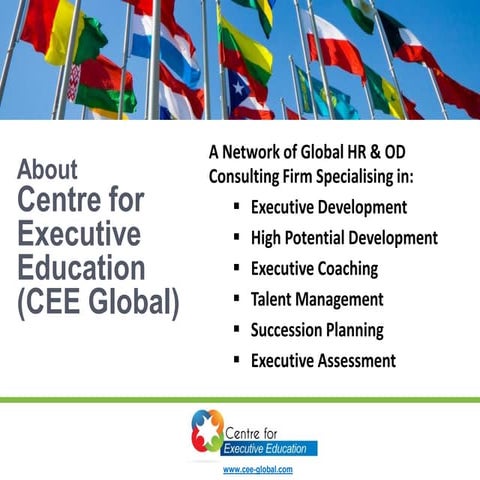 CEE Global Capability Corporate Overview   2 April 2014
