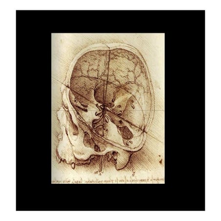 Cefalometria Historia