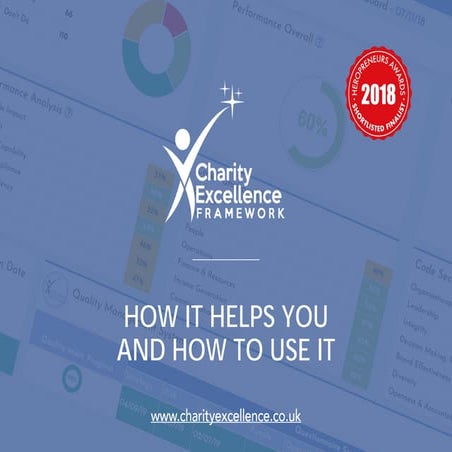 The Free Charity Excellence Framework Online Toolkit - User Guide | PDF
