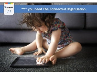 The Connected Organization: Building more Effective Companies