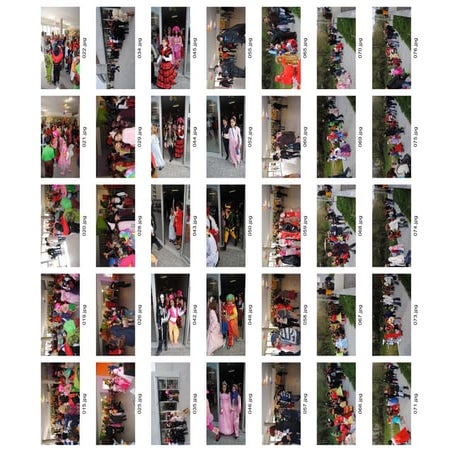 CEGV Carnaval 2011 - Fotos Câmara 1