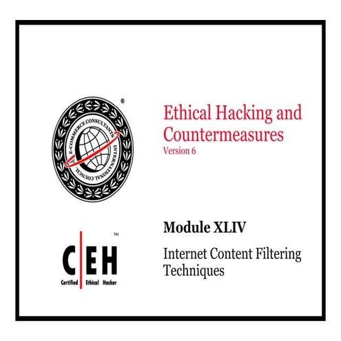 Ce hv6 module 44 internet content filtering techniques