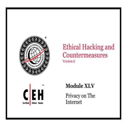 Ce hv6 module 45 privacy on the internet