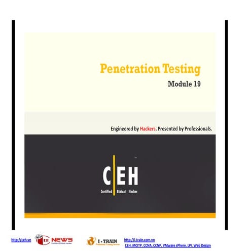 Ce hv7 module 19 penetration testing