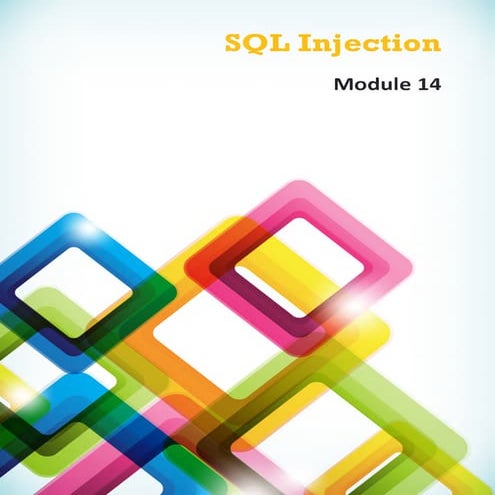 Ce hv8 module 14 sql injection
