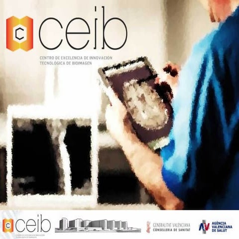 Ceib valencia 2011_english