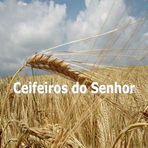 Ceifeiros do Senhor.ppt