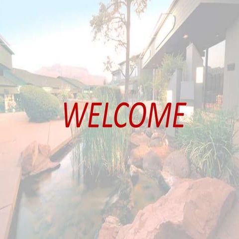 Celebrate your soul with color & area rugs