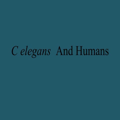 c elegans genome, life cycle and model organism | PPT