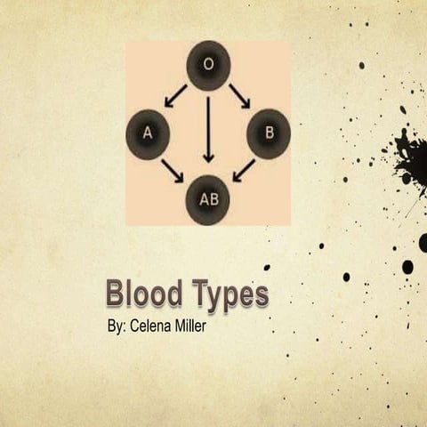 Blood types infographic | PDF