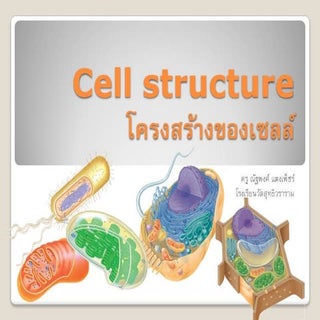Cell