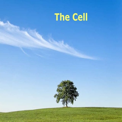 Cell