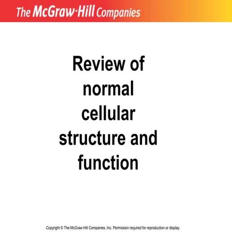 Cell Nucleus Structure And Functions Ppt