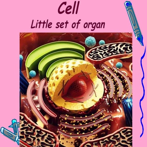 Cell