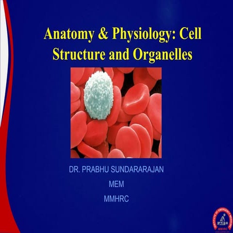 Animal cell anatomy power point | PPTX