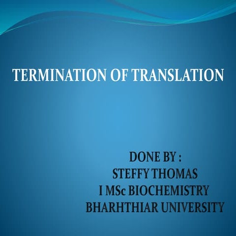 termination of translation - protein synthesis