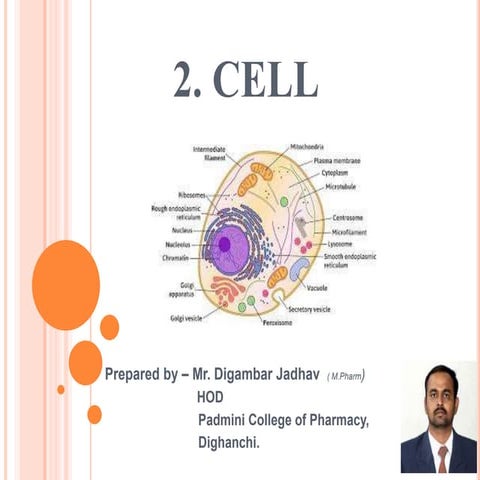 Cell | PPT