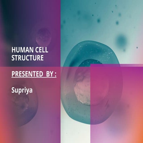 Cell and tissue | PPTX