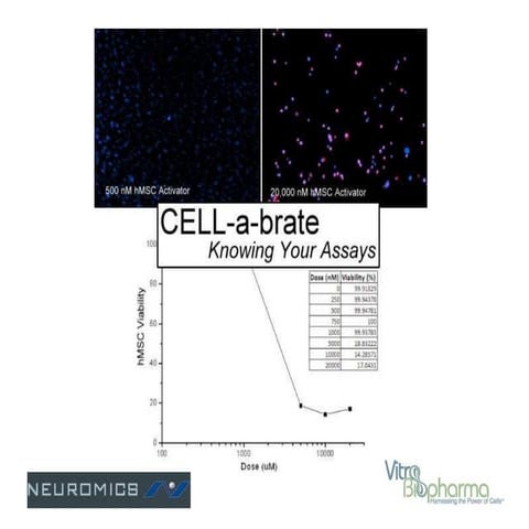 CELL-a-brate-Knowing Your Assays