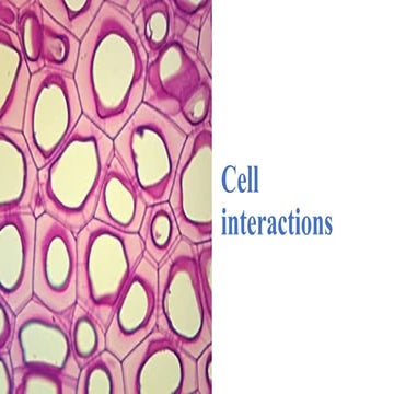 Cell signaling | PPT