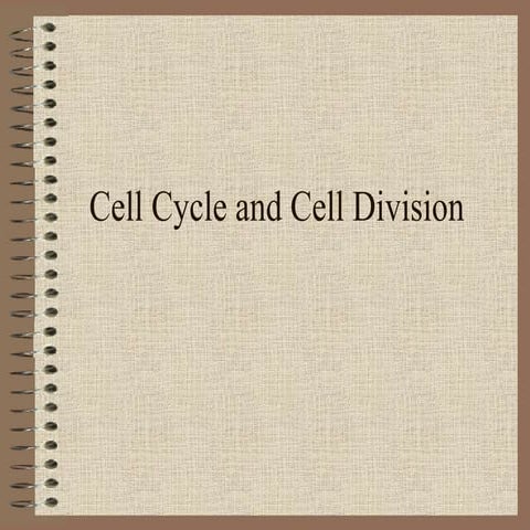 Cell Cycle