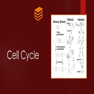 Cell-Cycle.pptxxxxxxxxxxxxxxxxxxxxxxxxxxxxxxxxxxxxxxxxx