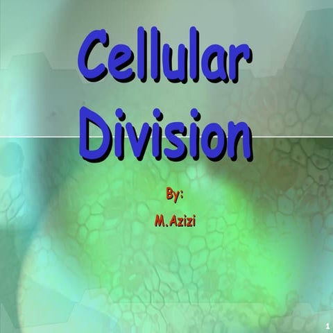 cell isolation and cell isolation methods | PPT
