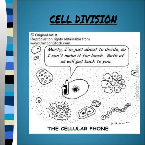Cell-Division.ppt.pdf PowerPoint presentation