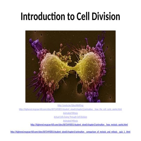 SCIENCE-Cell-Division-Mitosis-Meiosis-ppt.pptx