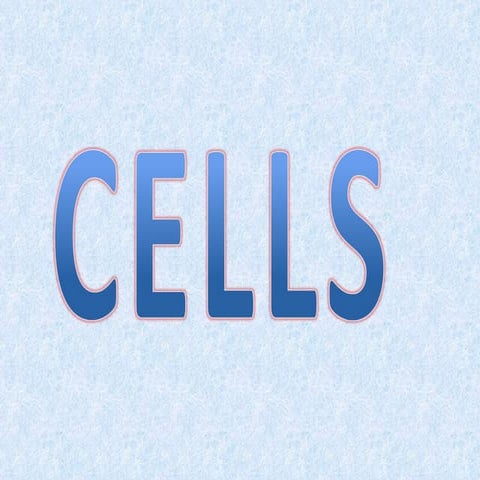 Cell fatu camara 4º a